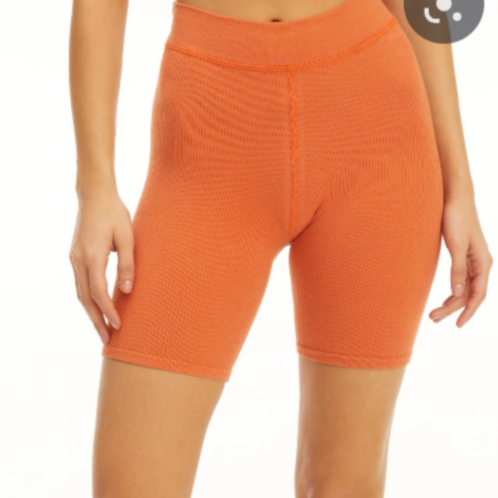 Seamless Bike Shorts (2x/3x)